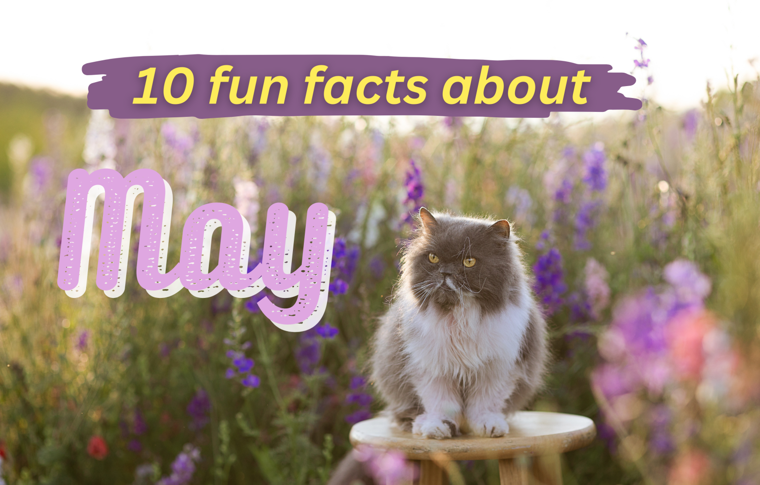 featured image 10 fun facts about May