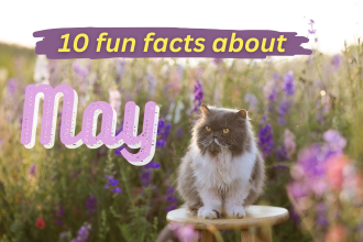 featured image 10 fun facts about May