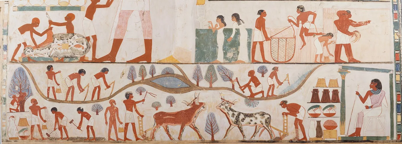 A tomb relief showing workers on the field
