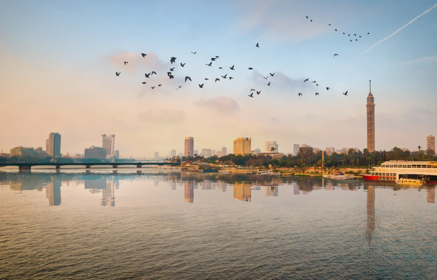 birds flying over nile in cairo